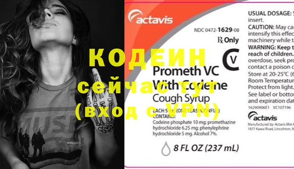 прущий лед Тихвин