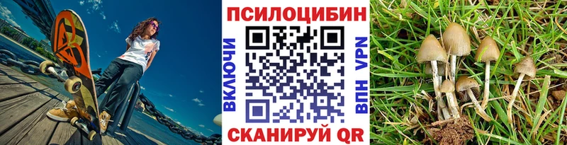 Купить где  Сураж  Псилоцибиновые грибы прущие грибы 